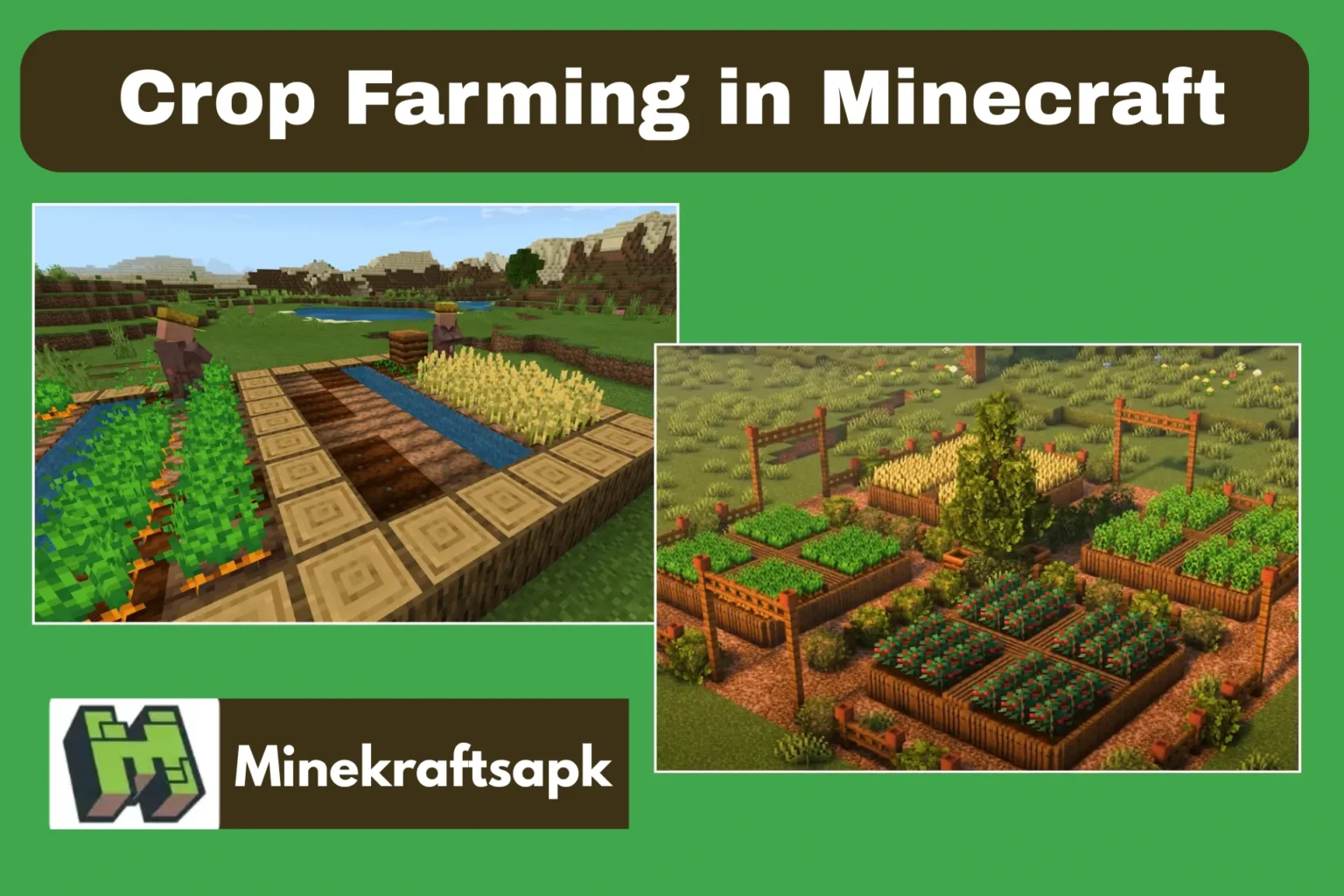 Crop Farming in Minecraft