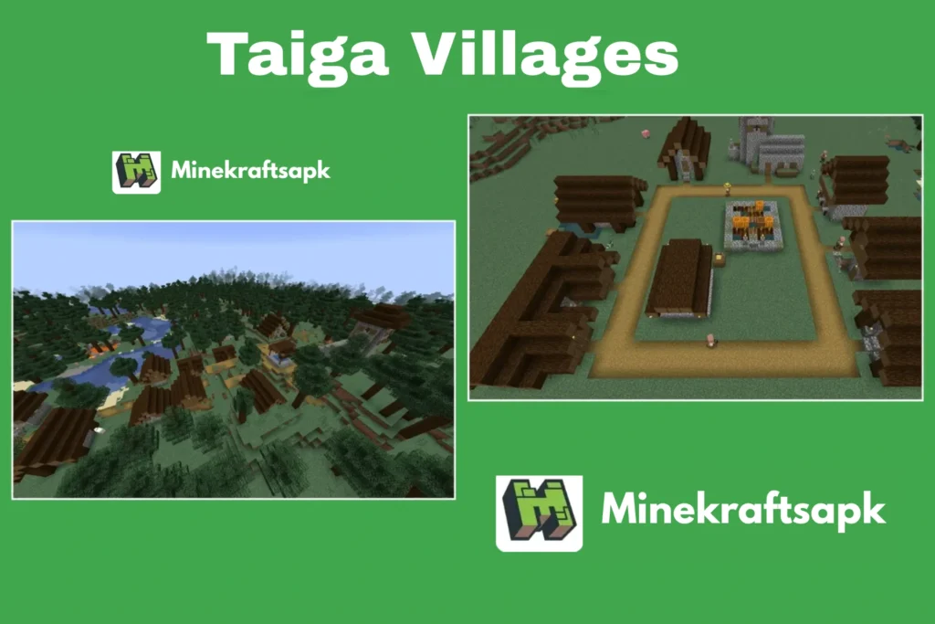 Taiga Villages