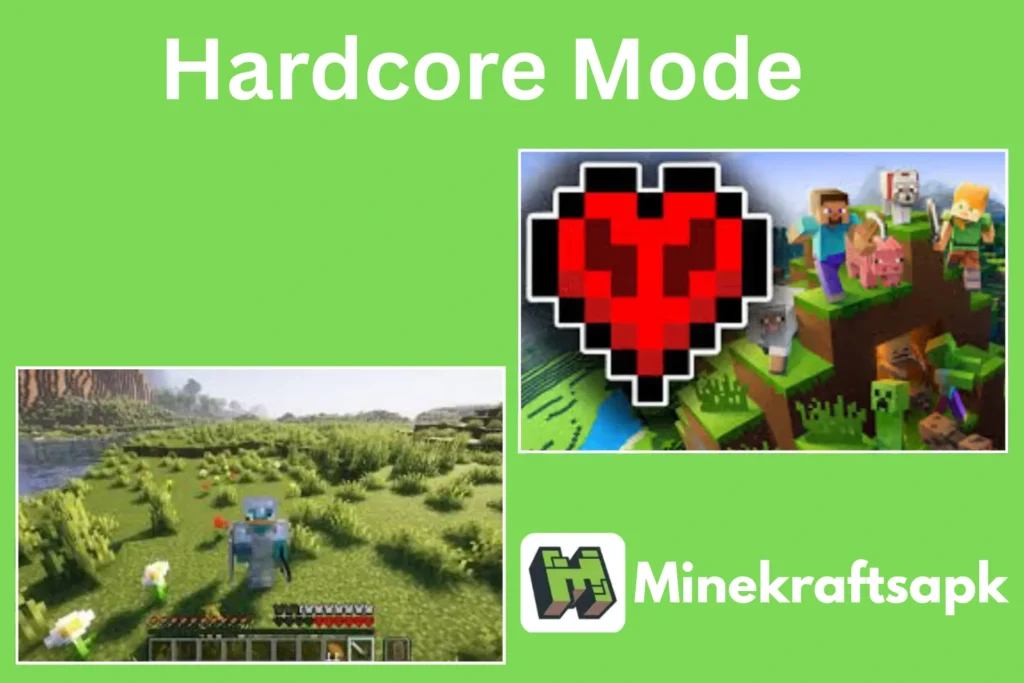 Hardcore-Mode-Minecraft